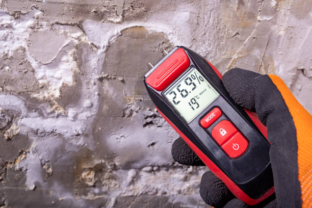 Best Mold Damage Repair  in Grosse Pointe Woods, MI