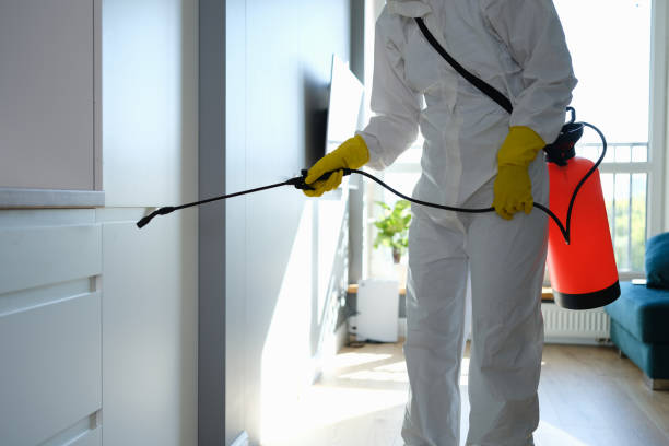 Best Mold Cleaning Services  in Grosse Pointe Woods, MI