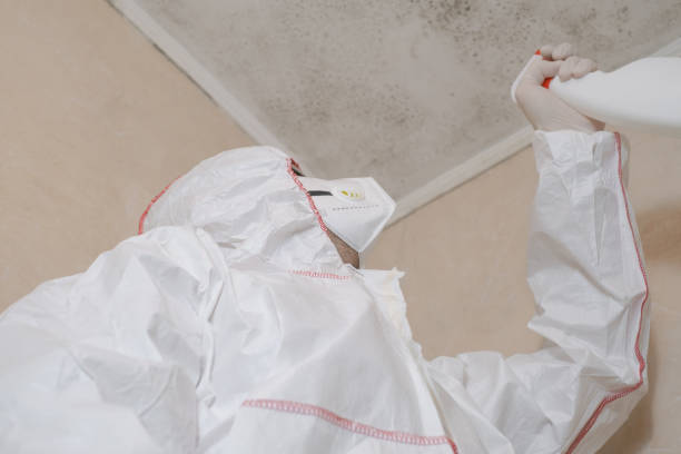 Grosse Pointe Woods, MI Mold Removal Company